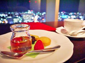 ANA�N���E���v���U�z�e�����R���u�����h�I�[�v���E�[���T�[�r�X�̃v���~�A���t���A���������߂̋L���T���l�C��