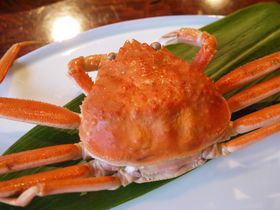 �ΐ�Ől�C�̂��y�Y���I�ҏW�����I�̂����񂹃O����30�I�̋L���T���l�C��