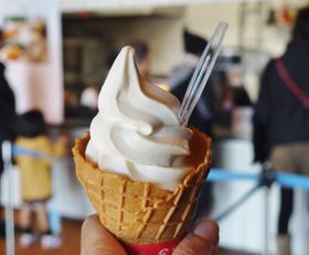 ���s�����ق̃O�������C�ɂȂ�I���̒j�O�����̃\�t�g�N���[�����̋L���T���l�C��