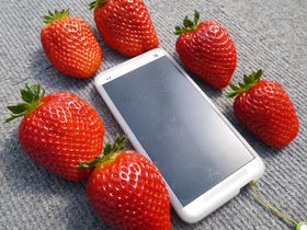 ��g����60���I���ɋ߂��a�̎R�ő嗱�u�܂�Ђ߁v���������I��x�R�u�������̗� �T�v�̋L���T���l�C��