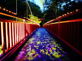 「定山渓ネイチャールミナリエ」は札幌からアクセス良好なライトアップイベント