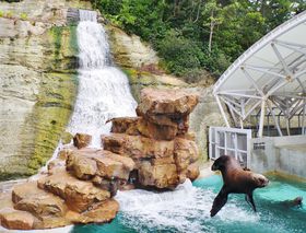 ��艷��߂��̊ό��X�|�b�g�u���}�������[���h�v�̊y���ݕ��̋L���T���l�C��