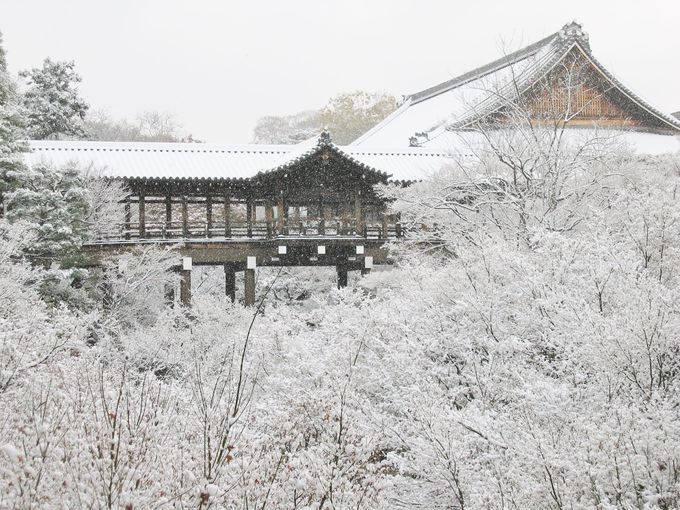 雪が降ったらラッキー！一度は見たい京都有名観光名所の雪景色