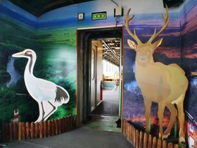 u뎼mbRv2019\񁕂ߎwȃKCh̋LTlC