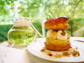 �u�����X�C�[�c�R���N�V����2017�H�v�̓t�H�g�W�F�j�b�N�Ȕ��p�كX�C�[�c��_�������I�̋L���T���l�C��