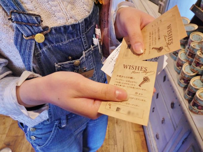 JJI}[Pbg̓XŒnւ̒ʘHTĂ݂