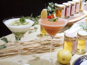 ~[~Bƃ[KCzes̃XC[cR{unj[n[j[v̋LTlC