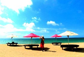 �z�e���A���}���_���l���Ŋ����I�Ί_������̗������q���X�e�C�̋L���T���l�C��