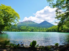 uHE΁v23ŁI̊όfR[X̋LTlC