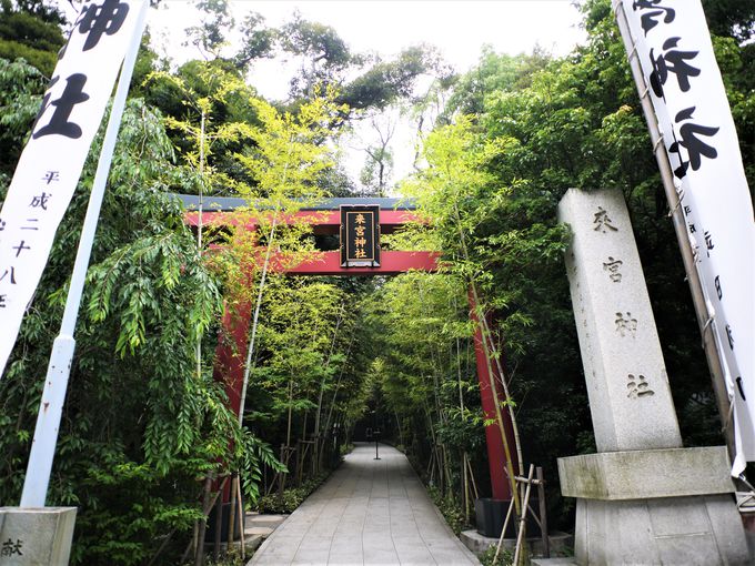 �M�C�w�����A���̂܂ܘҋ{�_�Ђ�