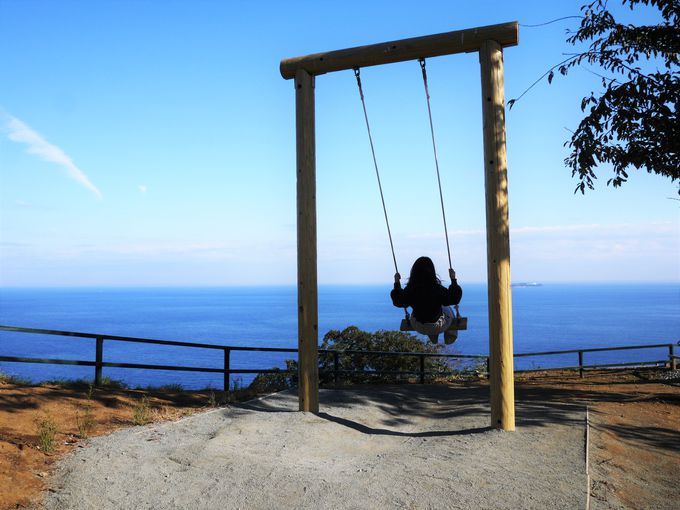 �A�J�I�n�[�u�����[�Y�K�[�f��