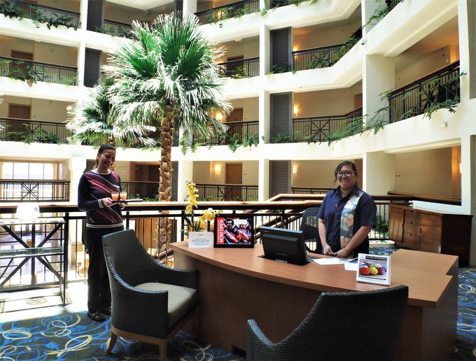 �q���g���O�A���̒��́g������̃q���g���h