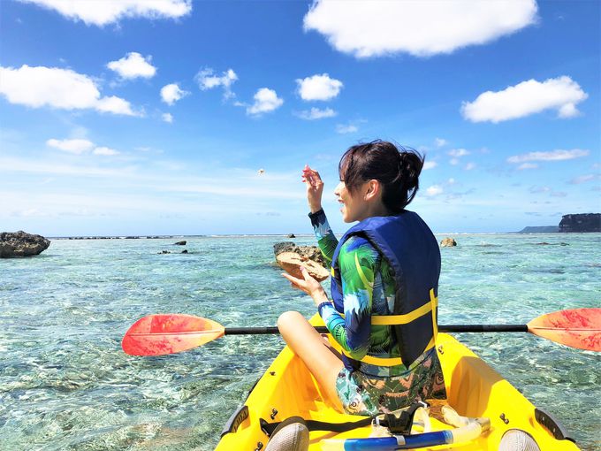 �����x�̍����C�p�I�r�[�`�𖞋i�I