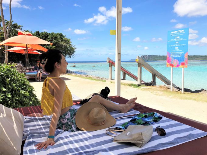 �����x�̍����C�p�I�r�[�`�𖞋i�I