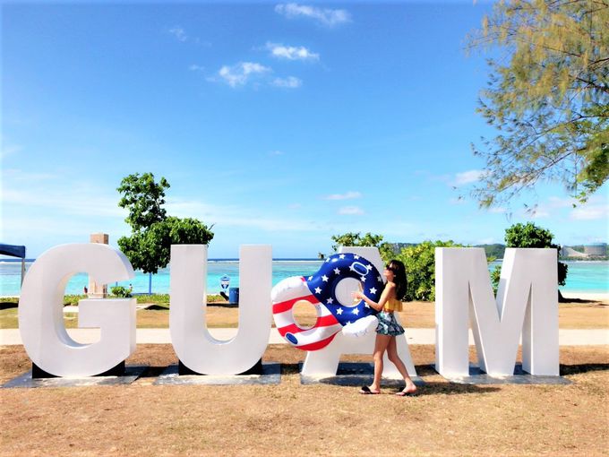 �����x�̍����C�p�I�r�[�`�𖞋i�I