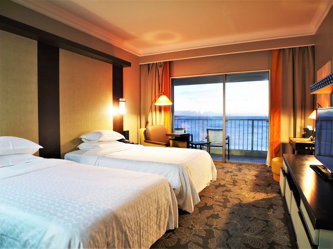 �Q�X�g���[���͑S���I�[�V�����r���[