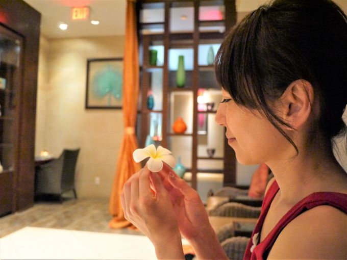 �Q�X�g���[���͑S���I�[�V�����r���[