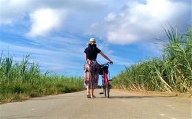 �{�Ó������Ǌԓ��u�H�~�����s�������v���q�����f���R�[�X�̋L���T���l�C��