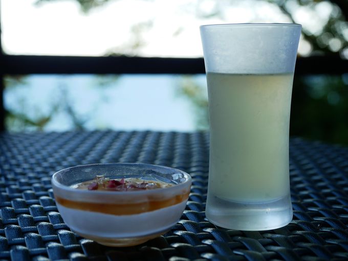 ���E���E��c�u�g��CAREN�v�̐�i��������\