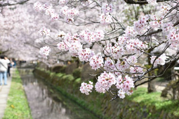 usR zeRyv͓̒͂ʂȂłI