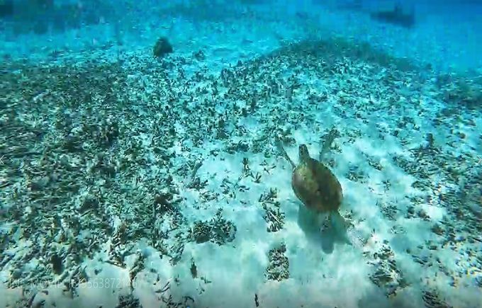 uSlvoȂĂ^_𖞋iłANeBreB