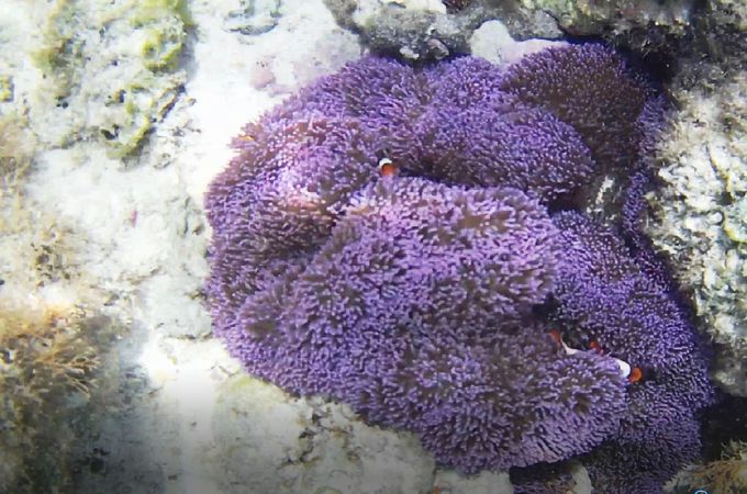 uSlvoȂĂ^_𖞋iłANeBreB