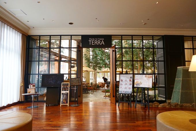 AEghACIuFarm to Table TERRAv