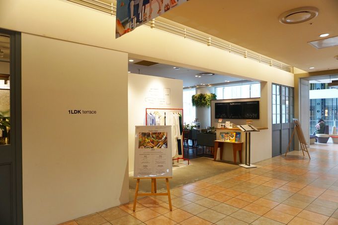 Dyw֗̕Iu1LDK terracev