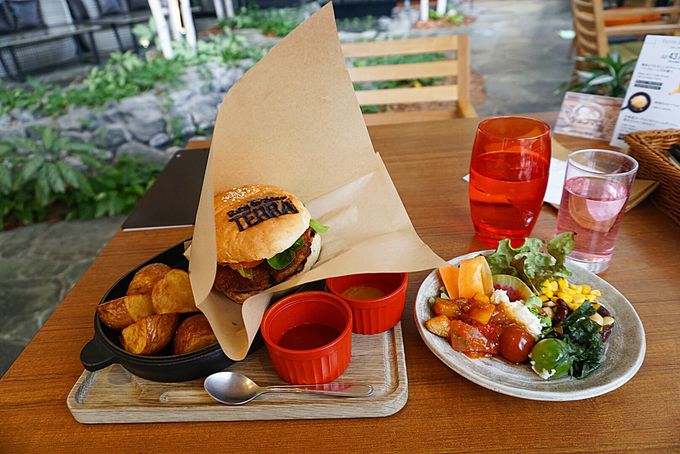 AEghACIuFarm to Table TERRAv