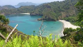 ���E���R��Y�����}�������̓������������߂���ʐ^�X�|�b�g�x�X�g3�̋L���T���l�C��