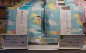 �H�c��`����I�����ł��������Ȃ�����a�َq�y�Y�R�I�̋L���T���l�C��