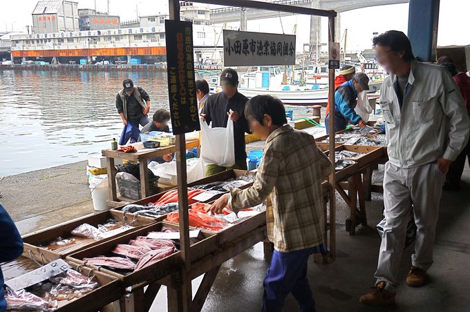 地元民に大人気「小田原 港の朝市」でお得に魚をゲット！