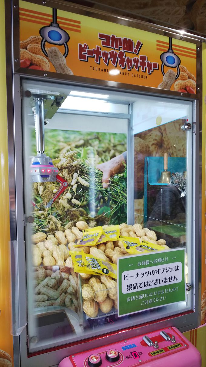 v킸肽ȂႤR̂ƁB