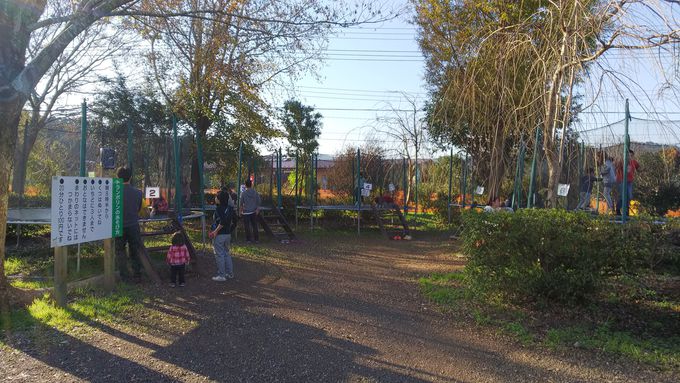 ���ɂ������߂̂T�̗V�я� �N���C�~���O�E�H�[���Ȃ�