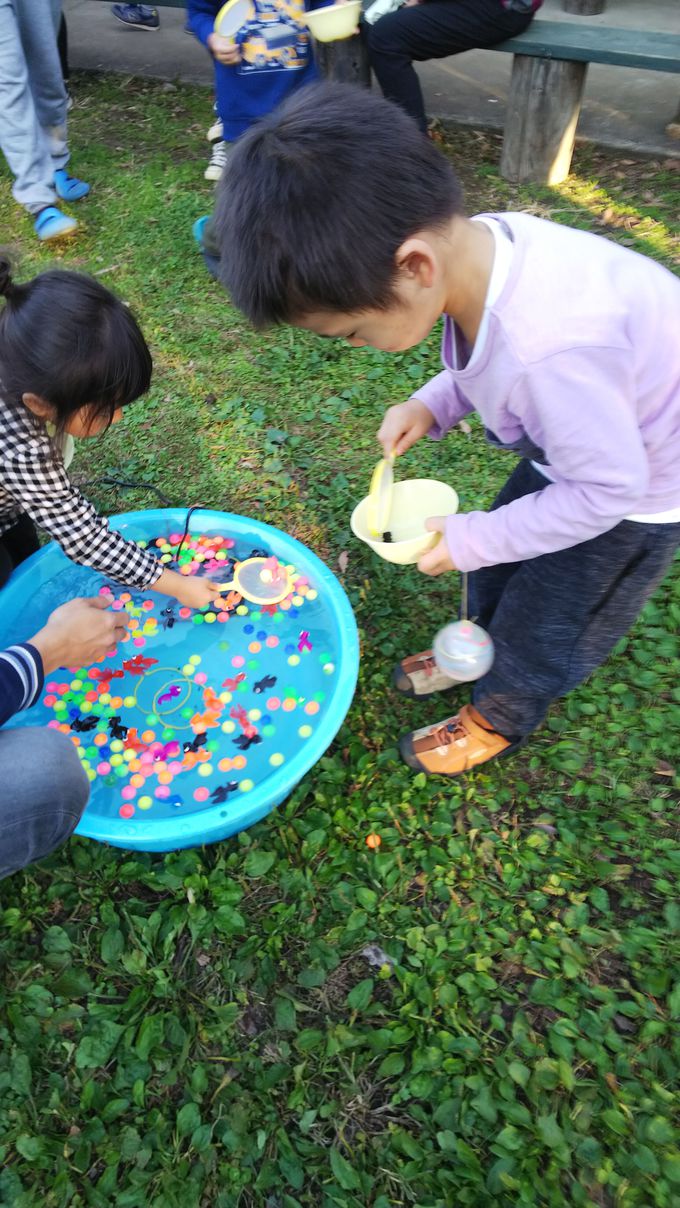 �y�j���͂���Ɋy���߂�I