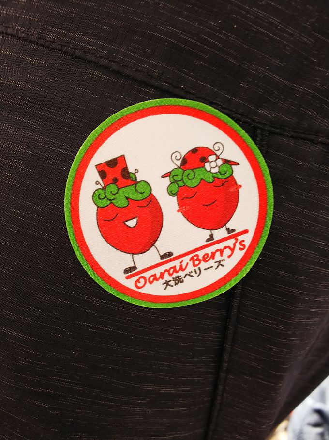 いばらキッスも食べられる 茨城県いちご狩り 大洗ベリーズ 茨城県 トラベルjp 旅行ガイド