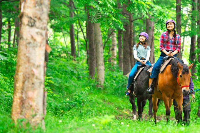 �k�C���炵���A�N�e�B�r�e�B�͂܂��܂��B�����؍݂ŗV�т������I