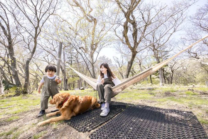 SEccW̌6{܂ŁBq⌢̗Vя[