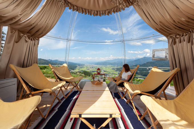 ��[�����́u�h�[���e���g�v���c�ƊJ�n�I