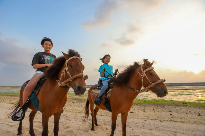 シンリ浜の夕日を堪能する乗馬体験