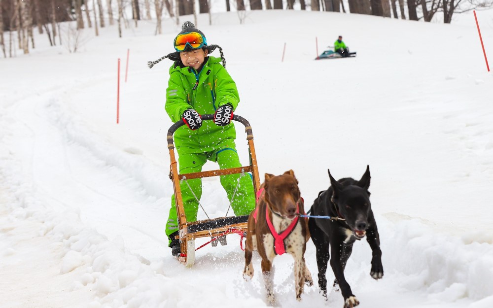 初体験の犬ぞりに挑戦！ 広大な雪原で貴重な雪遊び体験