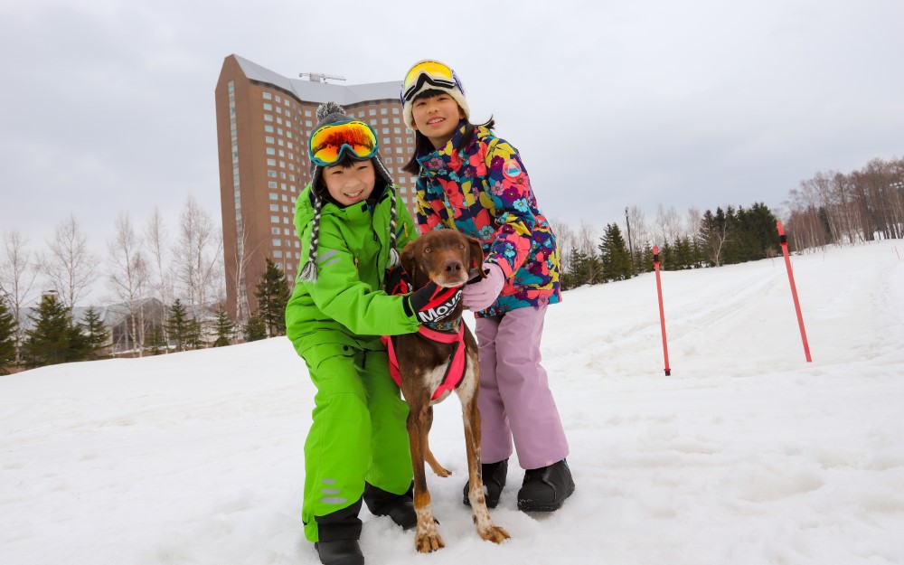 ���̌��̌�����ɒ���I �L��Ȑጴ�ŋM�d�Ȑ�V�ё̌�