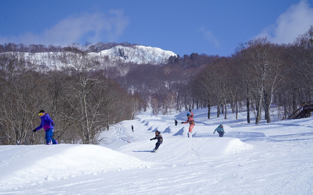 OR[XEF[u܂1y߂鑽ʂȃQf