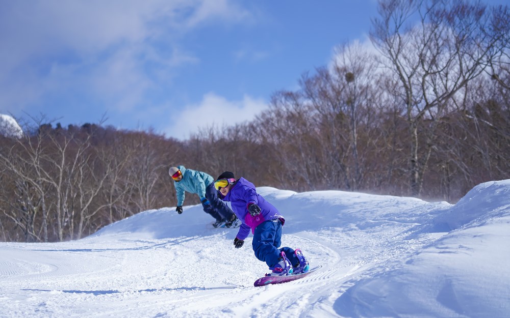 t܂Ńob`̐Ꮏ́AQffr[w㋉҂܂ő喞I