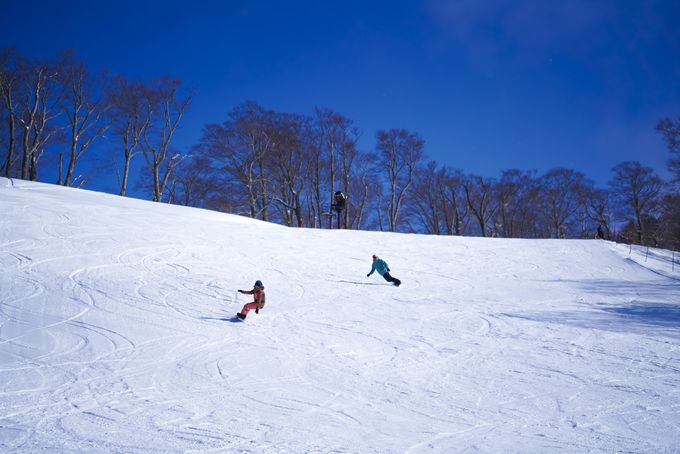 OR[XEF[u܂1y߂鑽ʂȃQf