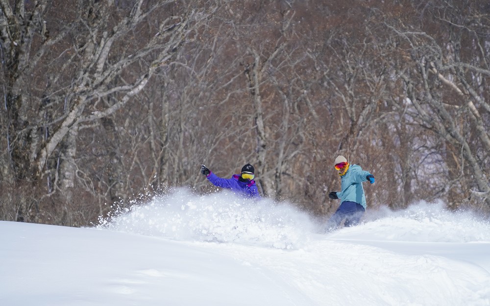 t܂Ńob`̐Ꮏ́AQffr[w㋉҂܂ő喞I