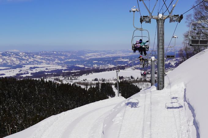 t@~[ɂ₳I 6̃R[XvvɊ