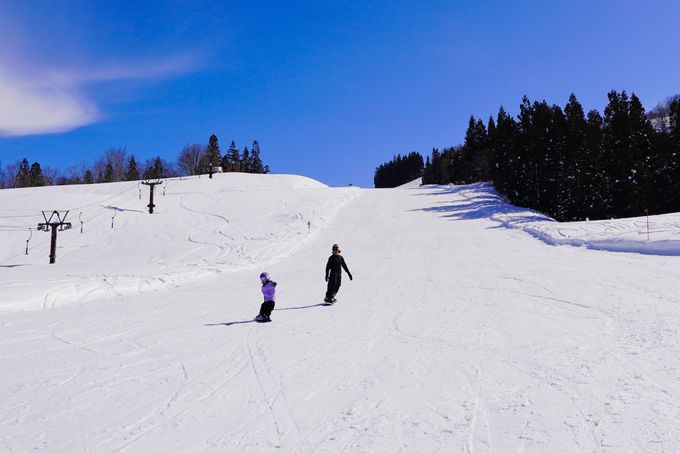 t@~[ɂ₳I 6̃R[XvvɊ