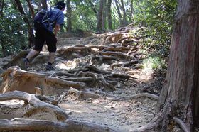 SƑ̂ZbgIR̓oRu׎RR[Xv̋LTlC