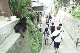 ���R�Ɩ��������߂č]�m���ցI�u�]�m�� �t�������v�Ɓu�]�m���̔L�v�ɐG��闷�̋L���T���l�C��